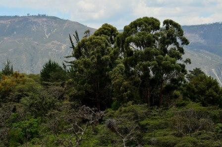 Parc zoologique, Guayllabamba